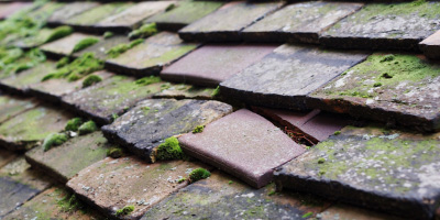 Debden roof repair costs